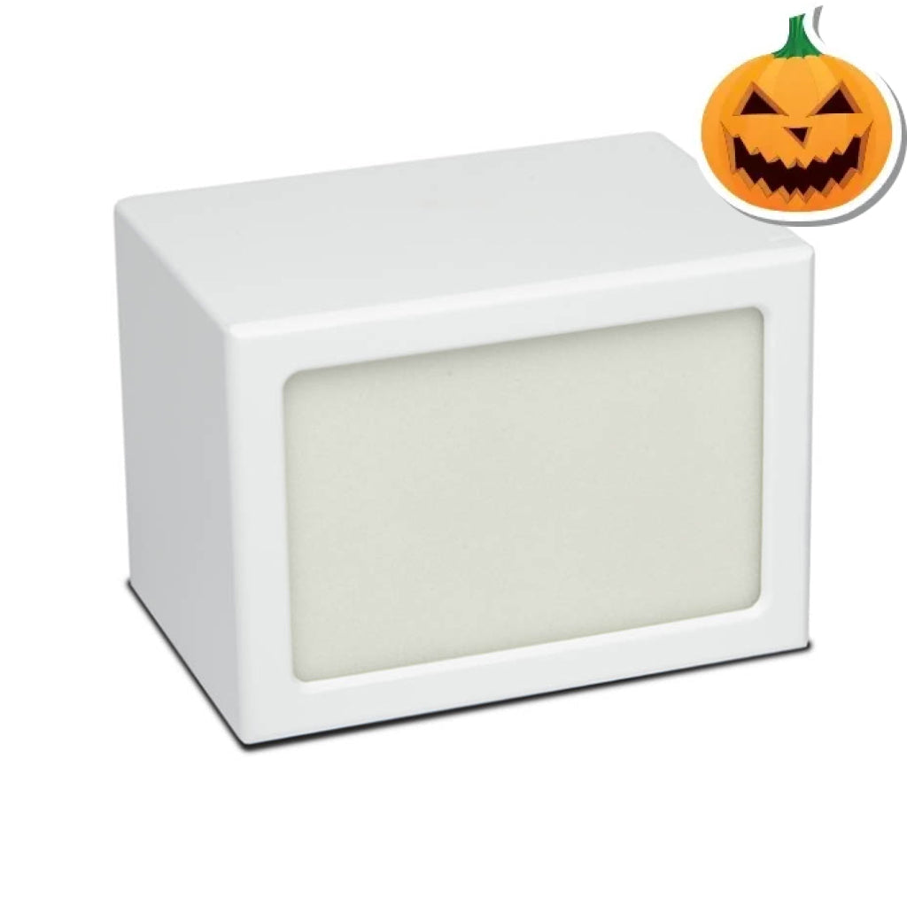 LARGE Photo Frame urn -PY06- Blank (Add your picture) CASE White