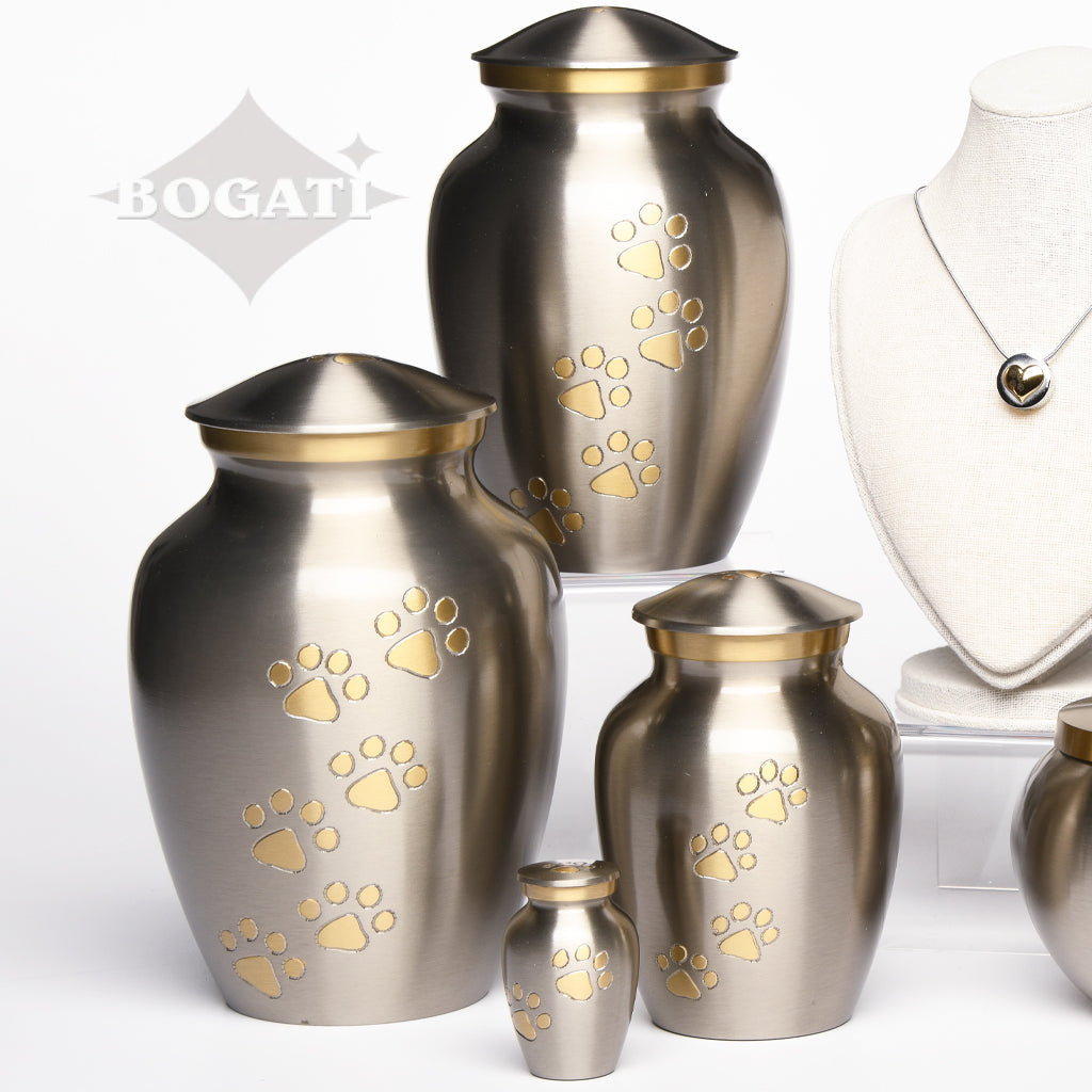 Themes And Colors - Silver Display Set#13