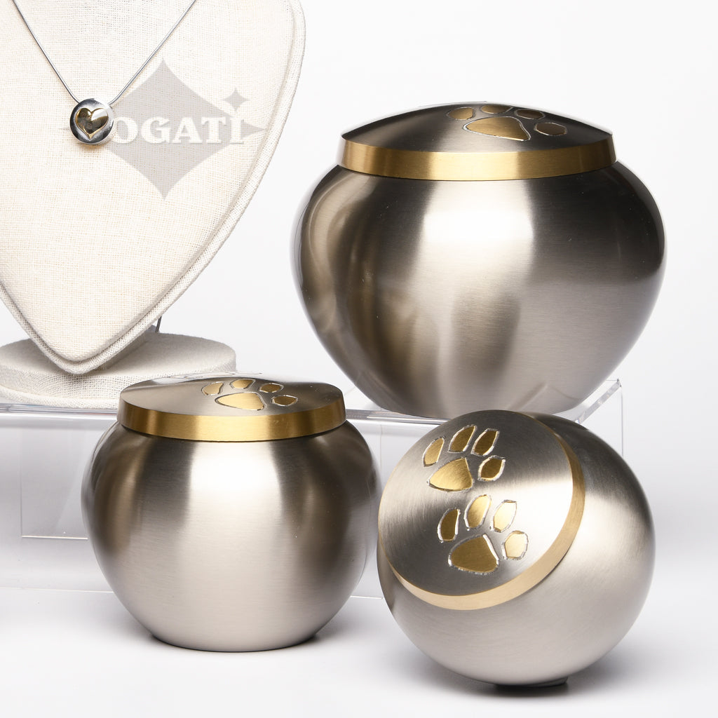 Themes And Colors - Silver Display Set#13