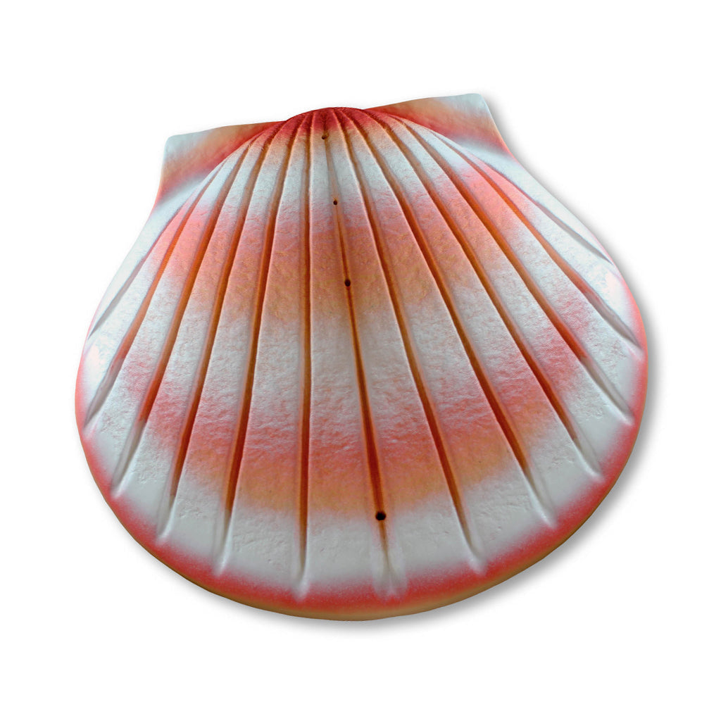 COMPANION The Shell Urn Coral