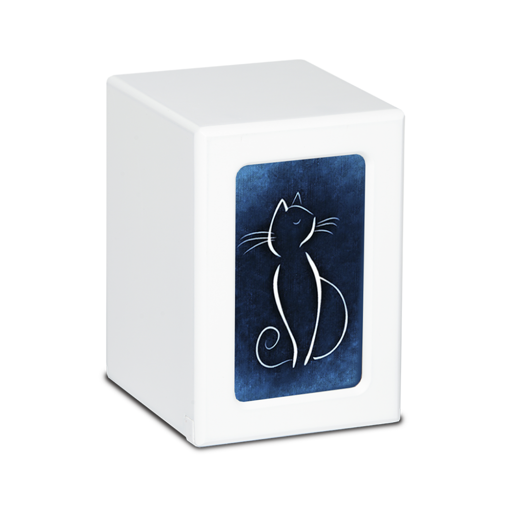 MEDIUM PY06 -White- White Cat / Colorful Backgrounds Blue