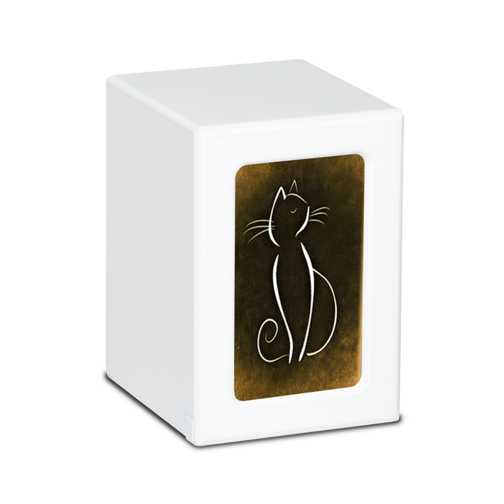 MEDIUM PY06 -White- White Cat / Colorful Backgrounds Brown