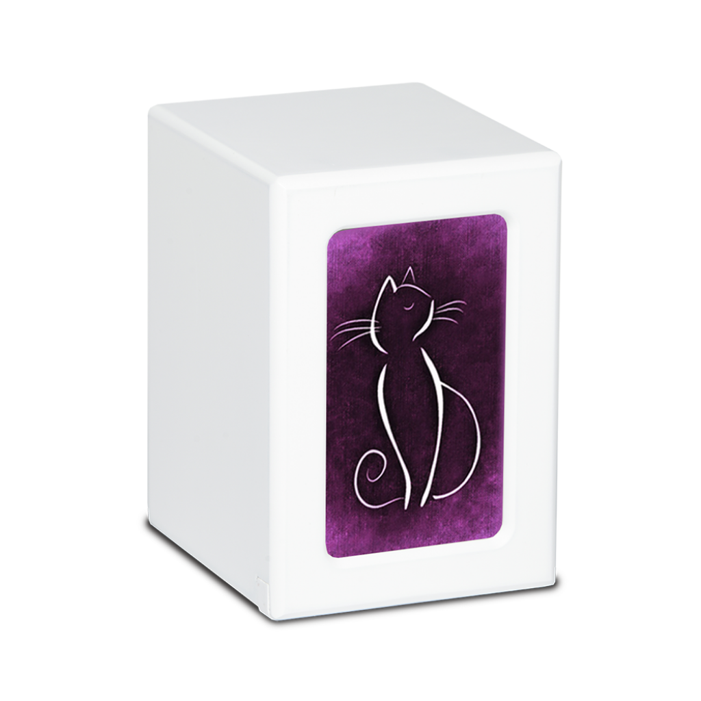 MEDIUM PY06 -White- White Cat / Colorful Backgrounds Purple
