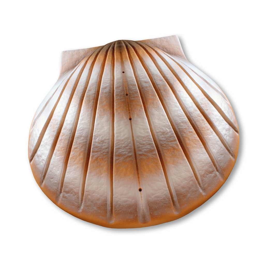 COMPANION The Shell Urn Sand