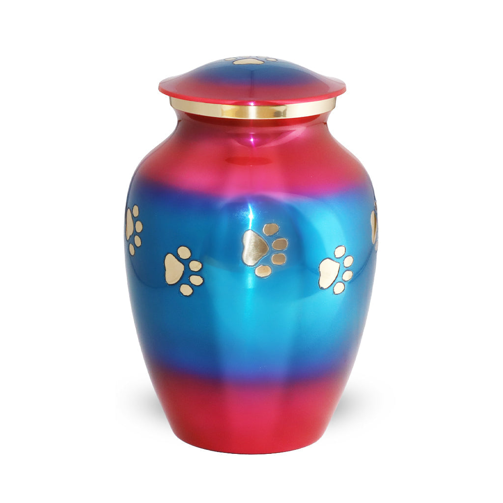 LARGE Brass Pet Urn - "Forever Paw" Rainbow Blue