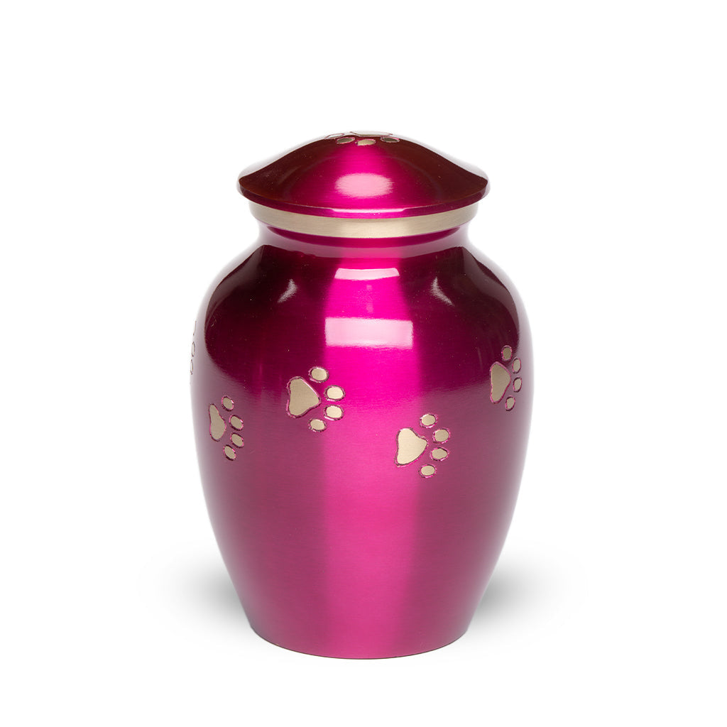 MEDIUM Brass Pet Urn - "Forever Paw"