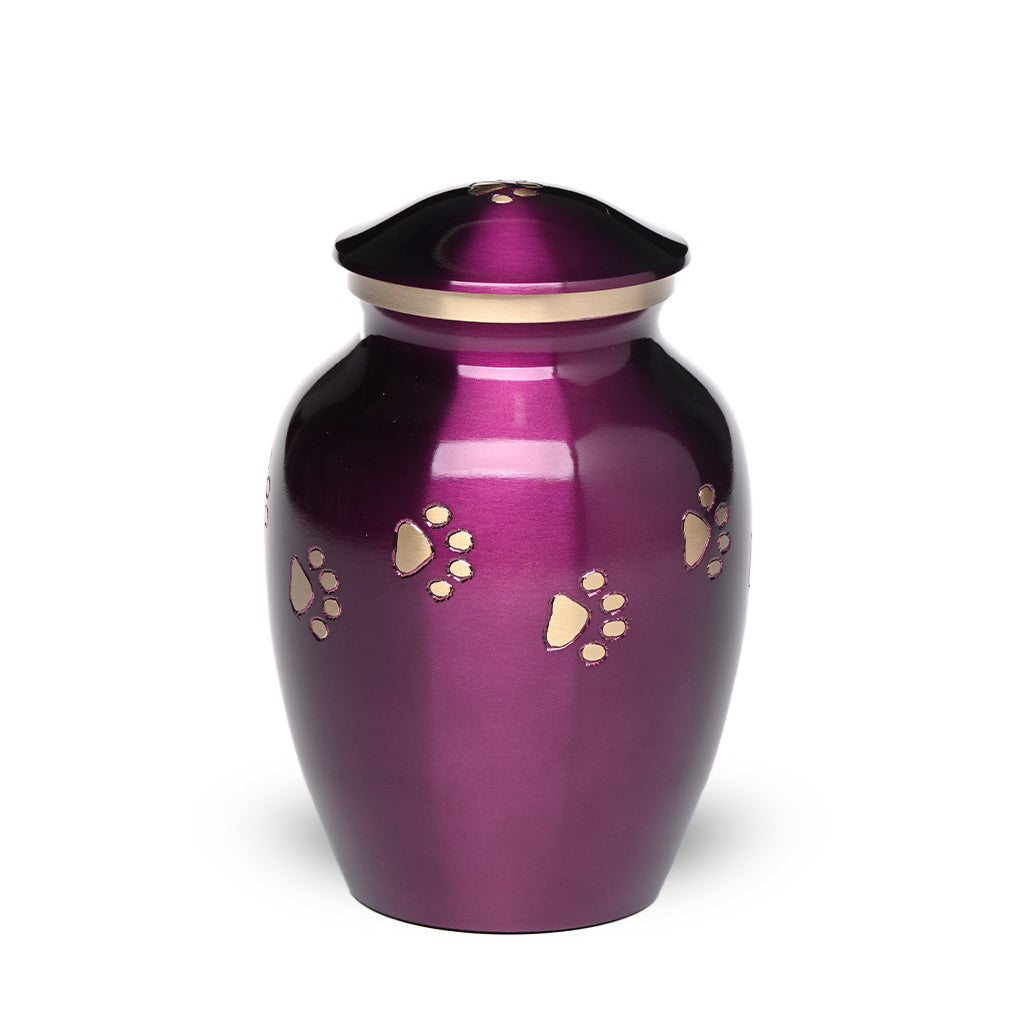 MEDIUM Brass Pet Urn - "Forever Paw" Purple-Gold