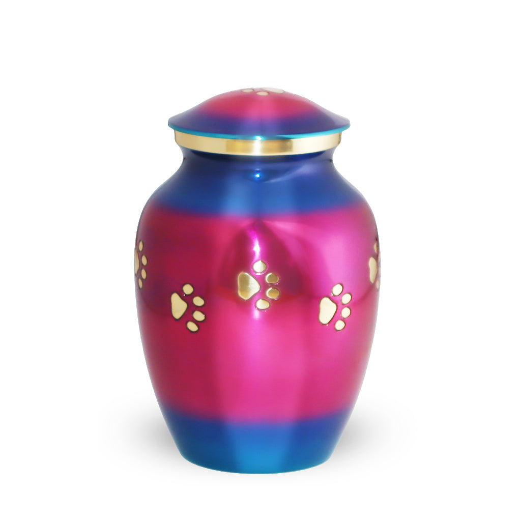 MEDIUM Brass Pet Urn - "Forever Paw" Rainbow Pink