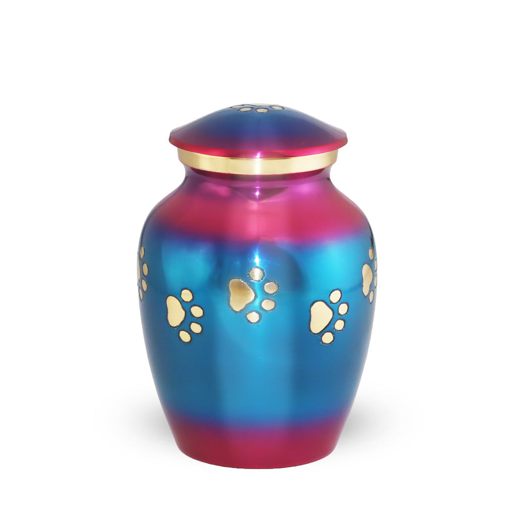 SMALL Brass Pet Urn - "Forever Paw" Rainbow Blue