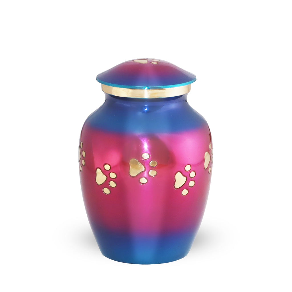 SMALL Brass Pet Urn - "Forever Paw" Rainbow Pink