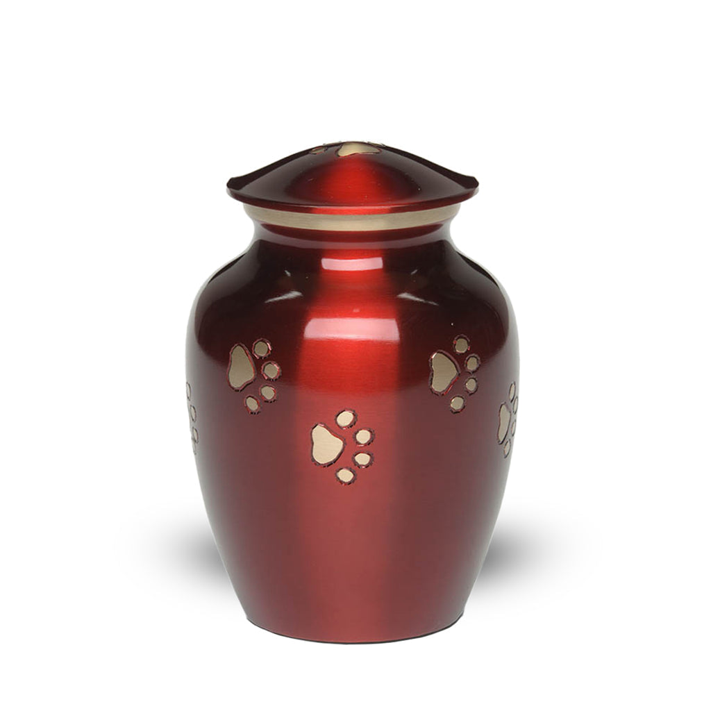 Urna PEQUEÑA de latón para mascotas -1655- "Forever Paw" - Azul cobalto