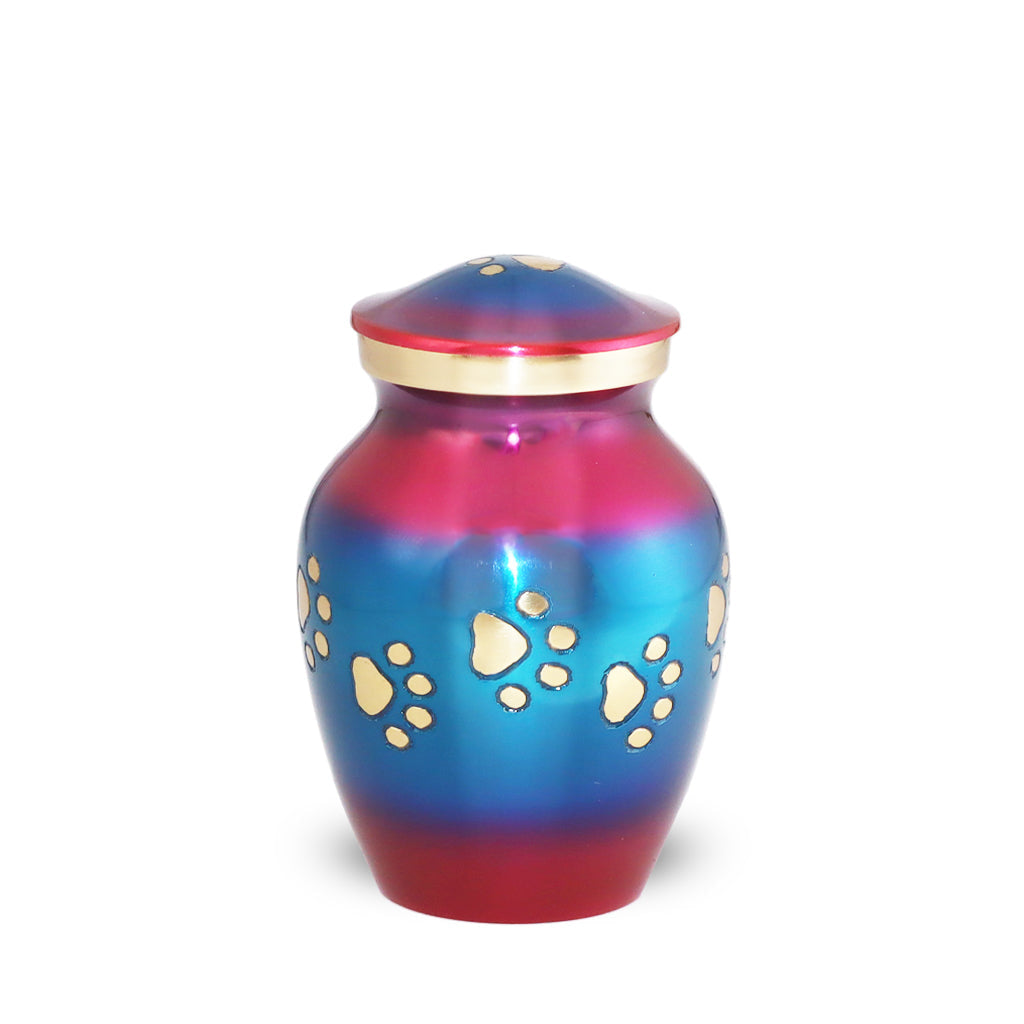 EXTRA SMALL Brass Pet Urn - "Forever Paw" Rainbow Blue