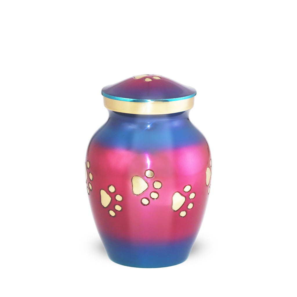 EXTRA SMALL Brass Pet Urn - "Forever Paw" Rainbow Pink