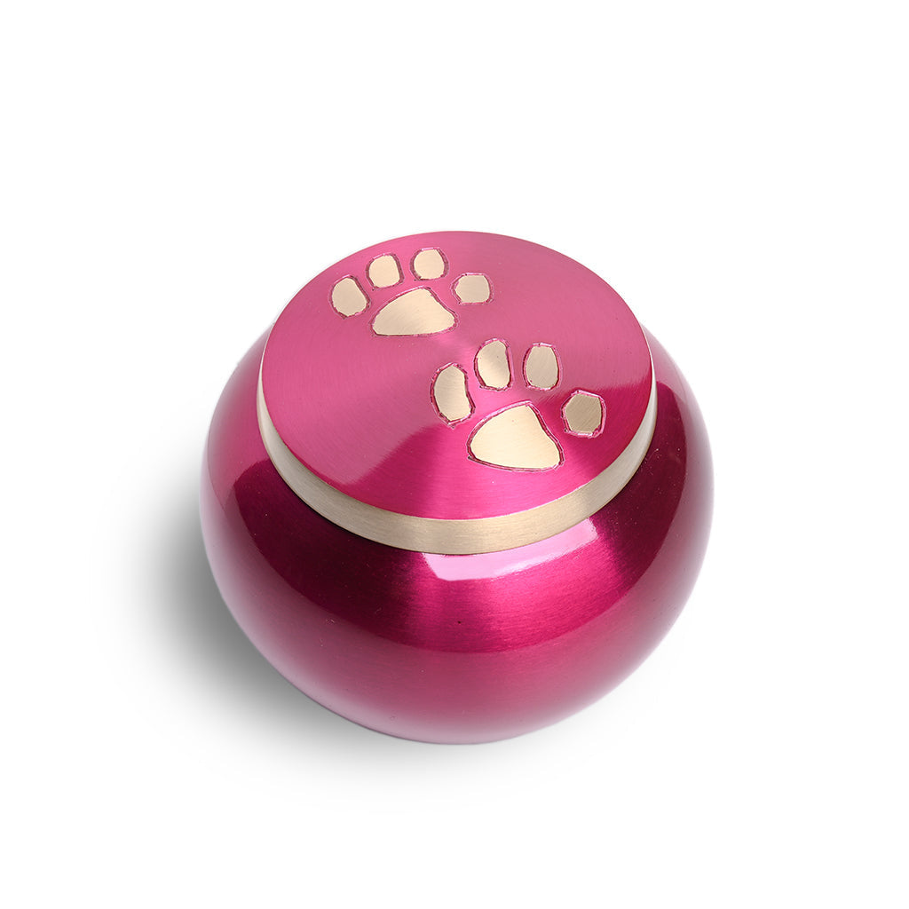 MEDIUM Brass "Journey" Pet urn - 2011- ColorWay Magenta