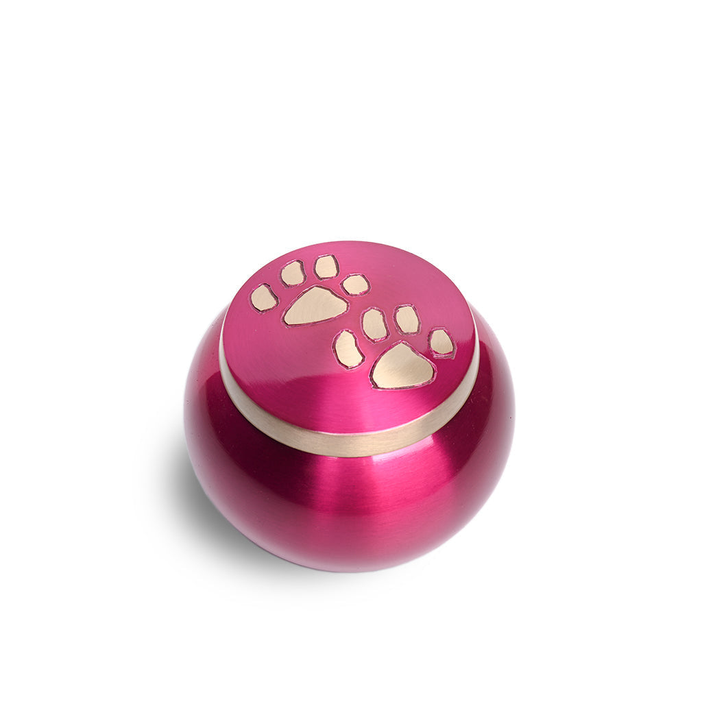 SMALL Brass "Journey" Pet urn - 2011- ColorWay Magenta