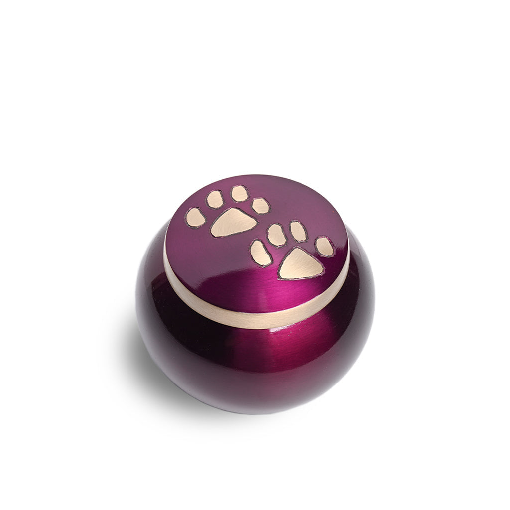 SMALL Brass "Journey" Pet urn - 2011- ColorWay Purple