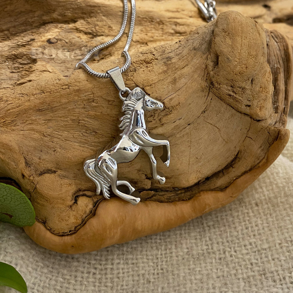 Jewelry Package: Western - Pendants With Chains