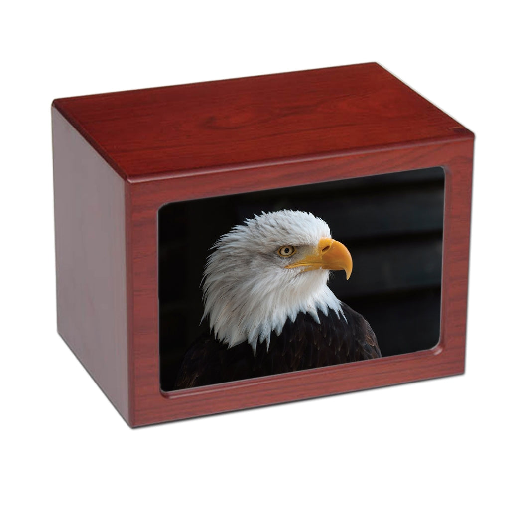 EXTRA LARGE PY06 - Cherry - American Eagle