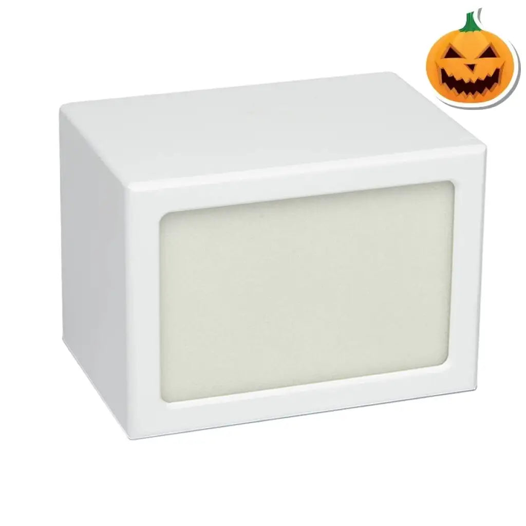EXTRA LARGE Photo Frame urn -PY06- Blank (Add your picture) White