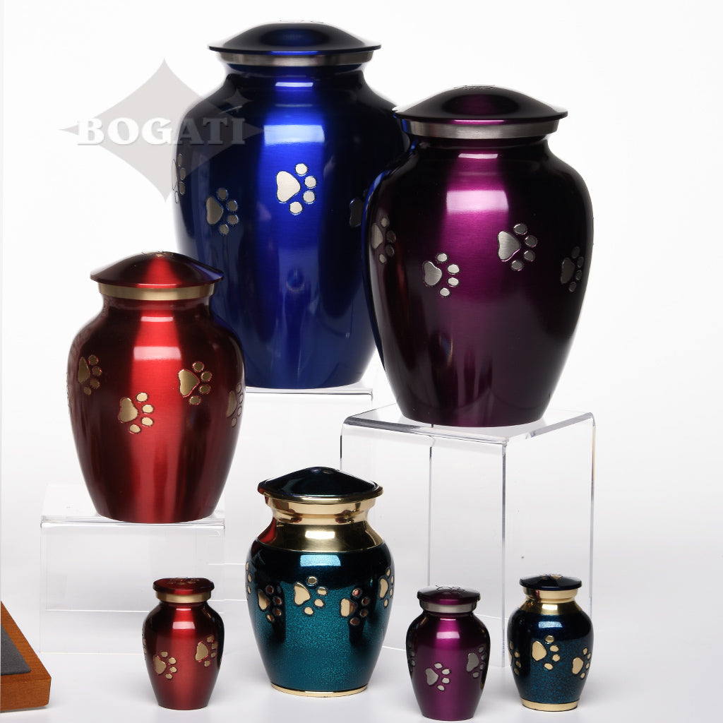 Themes And Colors - Forever Paws- Display Set#8