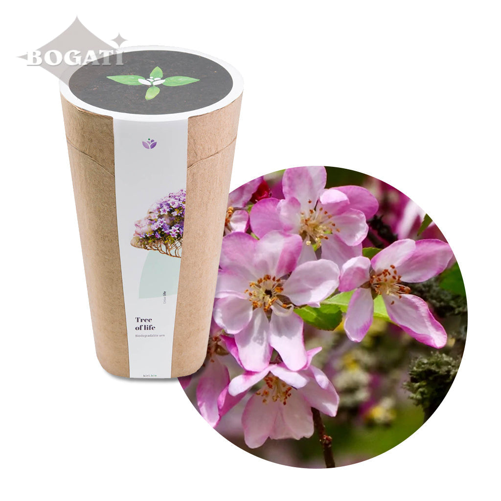 Kiri Biodegradable Urns - Plant a Tree Default Title