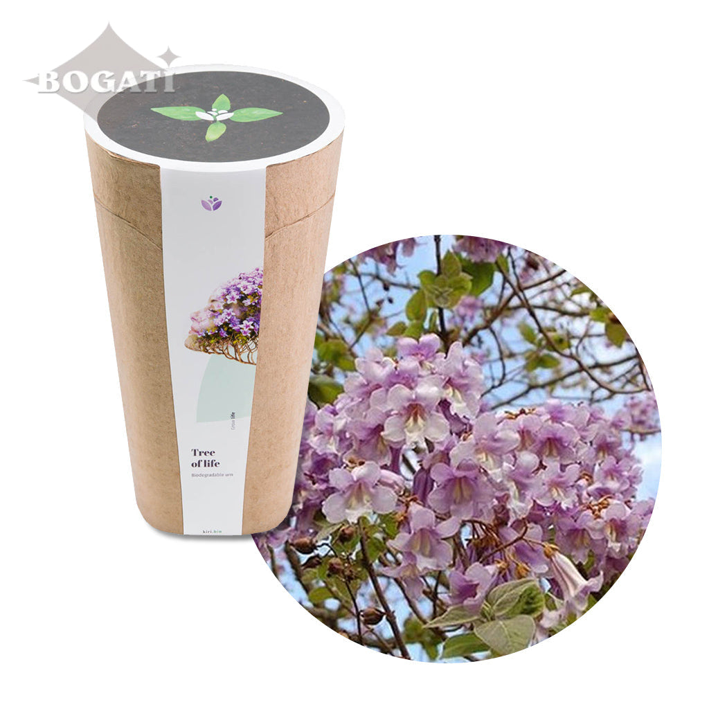 Kiri Biodegradable Urns - Plant a Tree