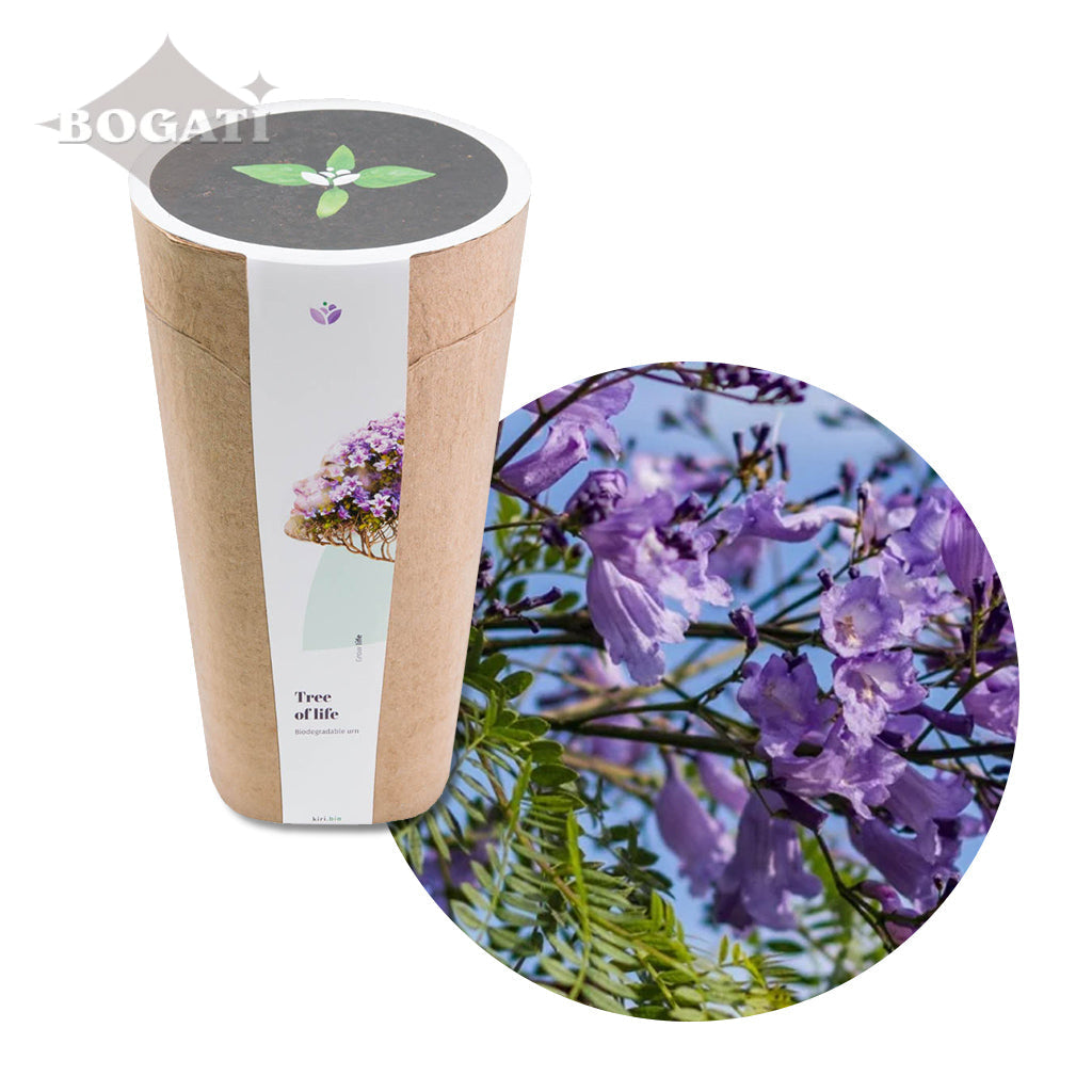 Kiri Biodegradable Urns - Plant a Tree