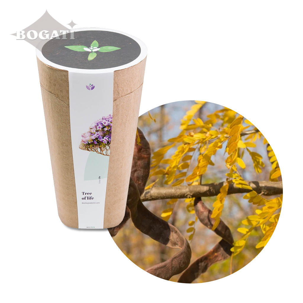 Kiri Biodegradable Urns - Plant a Tree