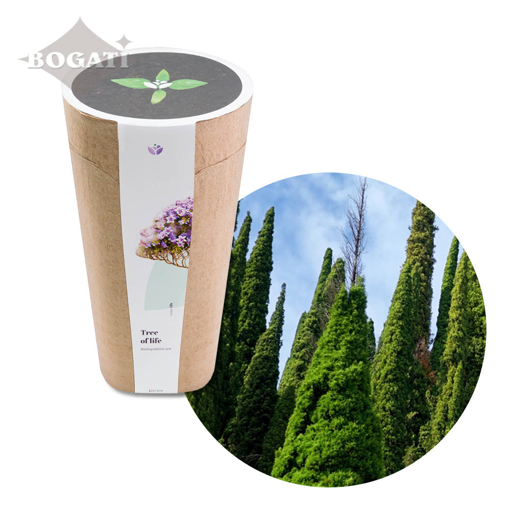 Kiri Biodegradable Urns - Plant a Tree