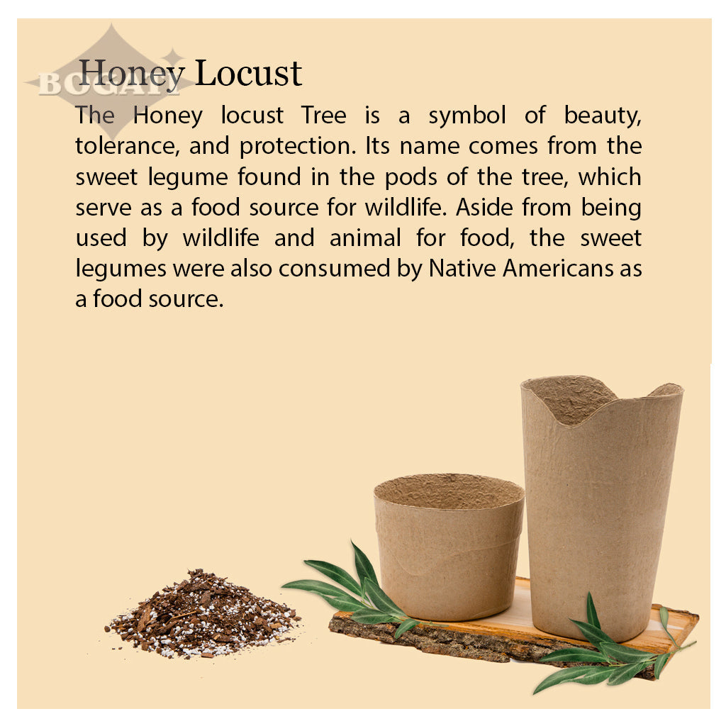 Kiri Biodegradable Urns - Plant a Tree
