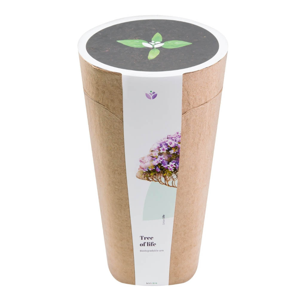 Kiri Biodegradable Urns - Plant a Tree