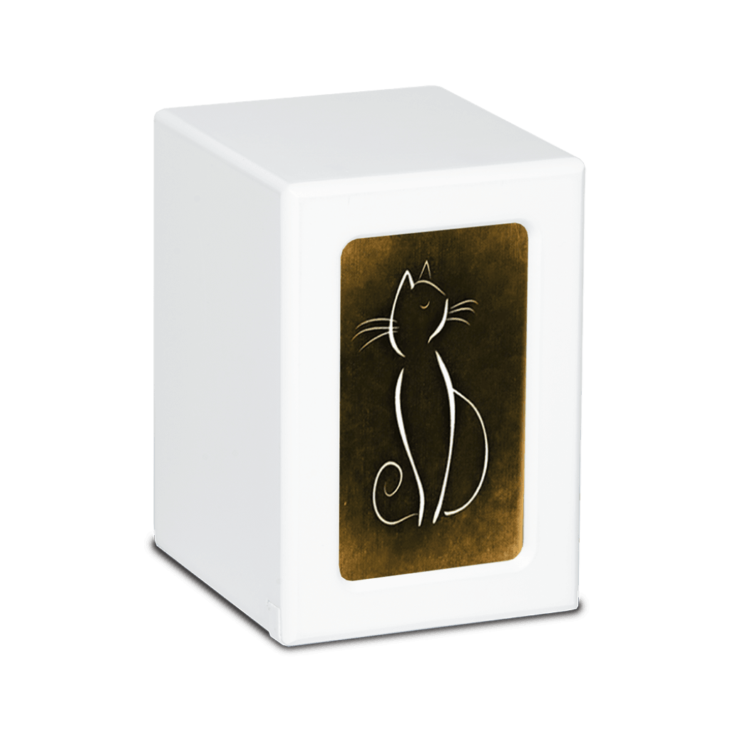 MEDIUM PY06 -White- White Cat / Colorful Backgrounds Brown