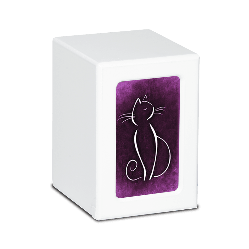 MEDIUM PY06 -White- White Cat / Colorful Backgrounds Purple