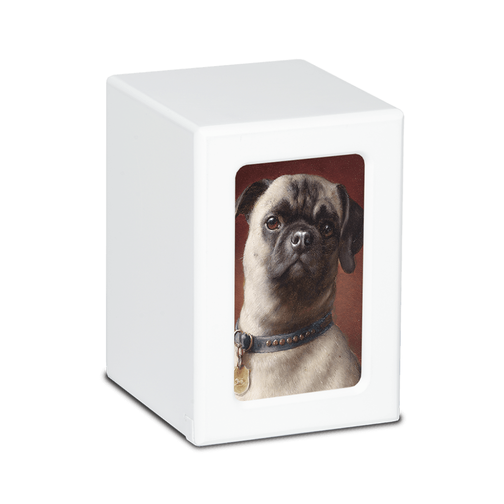 MEDIUM PY06 -White- Pug