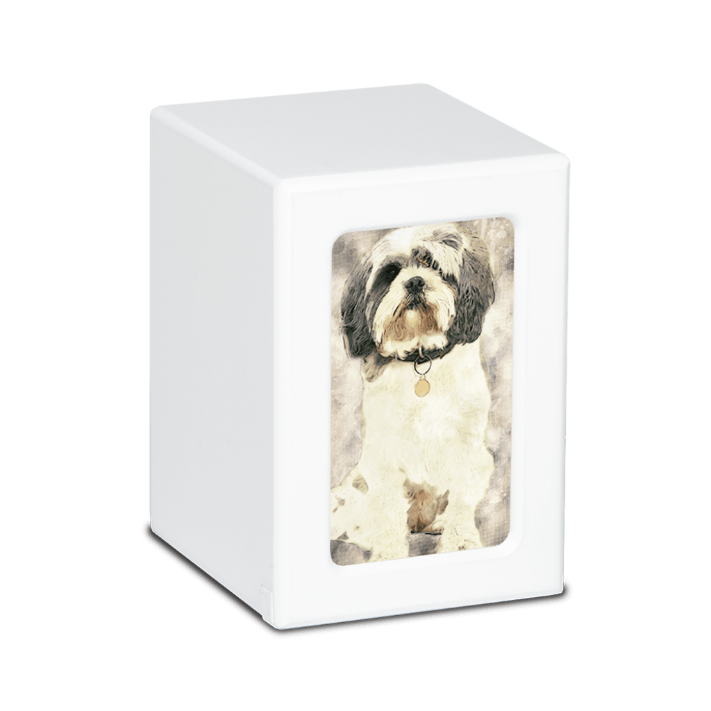MEDIUM PY06 -White- Shih Tzu