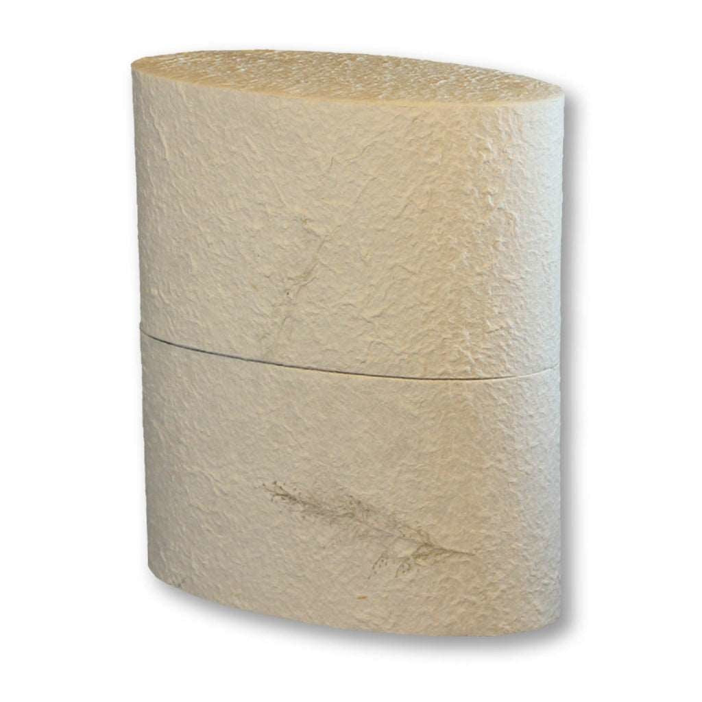 ADULT Reflect Earth Urns - (without bag)